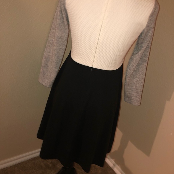 Ann Taylor Loft Size 4P NWT! 💕 - Picture 4 of 4